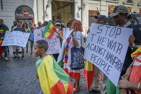 Mehrere Protestierende mit Schildern gegen die Verfolgung der Amhara