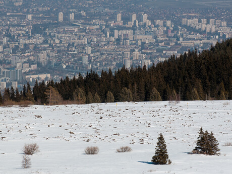 Blick von einem schneebedecktem Hügel auf eine Stadt.