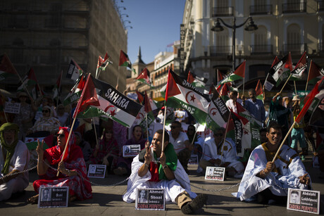 Proteste für Journalisten in der Westsahara in Madrid