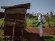 Ein Mitarbeiter der Weltgesundheitsorganisation dekontaminiert ein Haus im Kongo.
