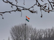 Die Nationalflagge Indiens (erst ein oranger, dann ein weißer und zuletzt ein dunkegrüner Querbalken; auf dem weißes Balken ist noch ein kreisförmiges Symbol zu sehen) weht hinter Bäumen auf einem hohen Turm