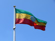 Äthiopische Flagge: dunkelgrüner, gelber und roter Querbalken. Darauf wurde mittig ein gelber Stern in einem blauen Kreis platziert