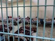 Ein ägyptisches Gefängnis. ©RSF