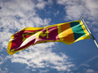 Die Nationalflagge Sri-Lankas weht im Wind (erst ein dunkelgrüner, dann ein oranger vertikaler Balken; daneben ein dunkelrotes Feld mit einem goldenen Löwen drauf)