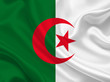 Eine grün-weiße Flagge mit rotem Halbmond und Stern in der Mitte.